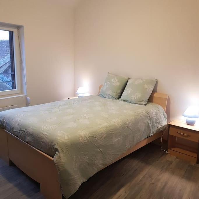 Chez Nino Wifi Gratuit Villa Beaulieu-sur-Loire Eksteriør billede