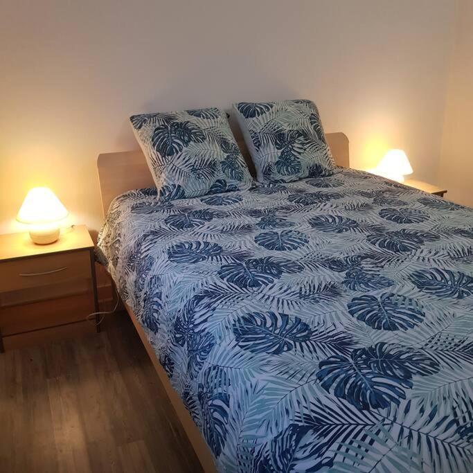 Chez Nino Wifi Gratuit Villa Beaulieu-sur-Loire Eksteriør billede